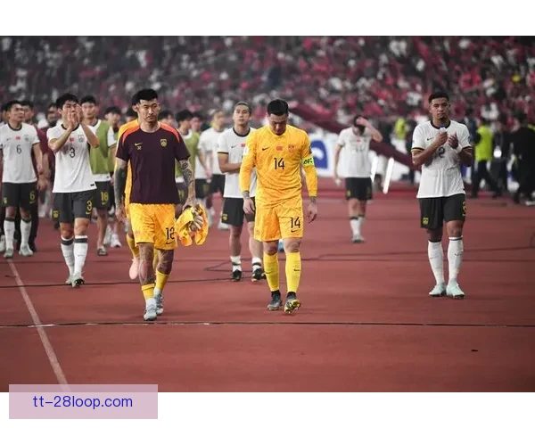 2026世界杯将为所有参赛队提供智能伤病预防系统提升运动员安全保障